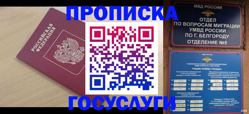 прописка законно в Киреевске